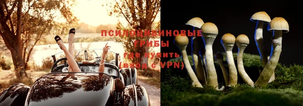 крисы Балахна